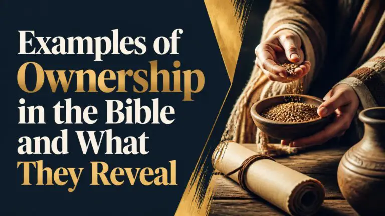 Examples of Ownership in the Bible