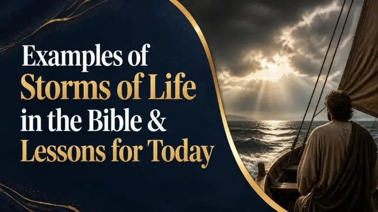 Examples of Storms of Life in the Bible